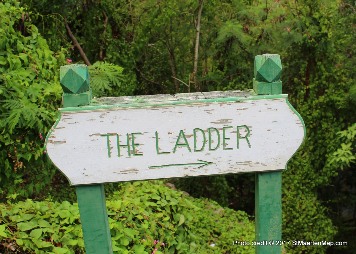 the-ladder-saba